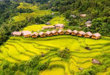 Tham khảo kinh nghiệm du lịch Tây Bắc mùa thu với homestay ngắm cảnh đẹp nhất